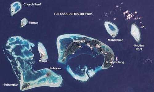红浮漂的功效-红浮漂功效-专业红浮漂草主治平台-红漂带